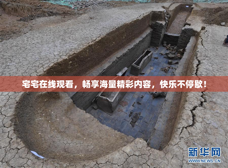 宅宅在线观看，畅享海量精彩内容，快乐不停歇！