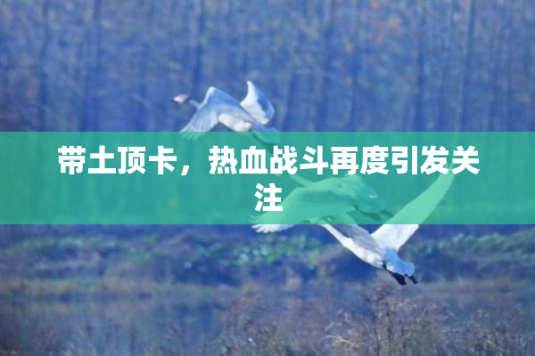 带土顶卡，热血战斗再度引发关注