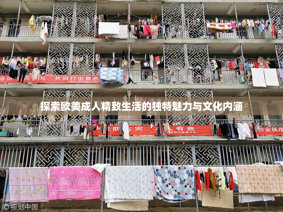 探索欧美成人精致生活的独特魅力与文化内涵
