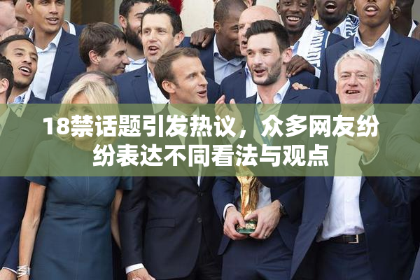 18禁话题引发热议，众多网友纷纷表达不同看法与观点