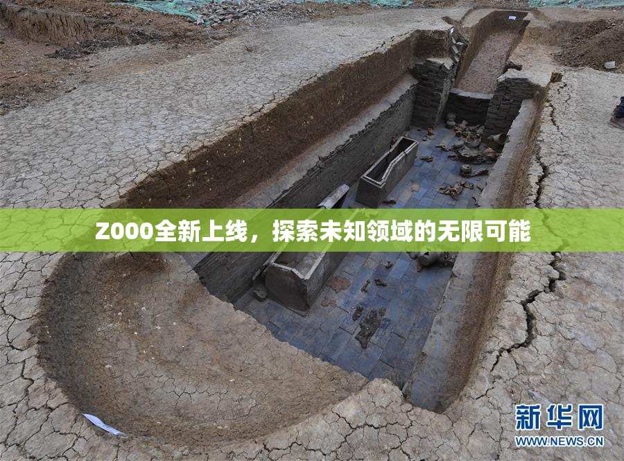 Z000全新上线，探索未知领域的无限可能