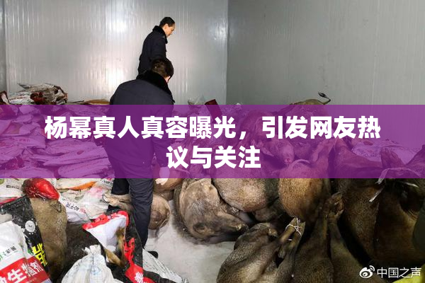 杨幂真人真容曝光，引发网友热议与关注