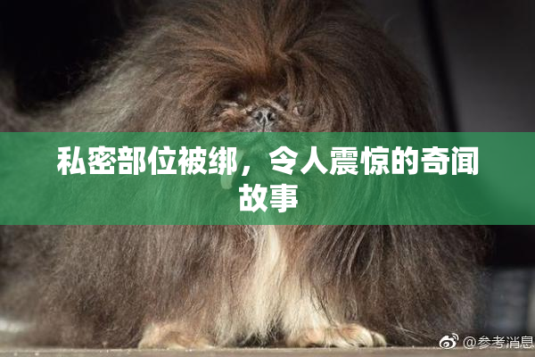私密部位被绑，令人震惊的奇闻故事
