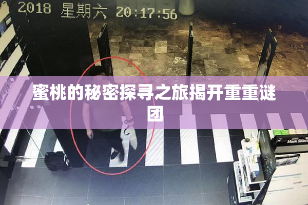 蜜桃的秘密探寻之旅揭开重重谜团