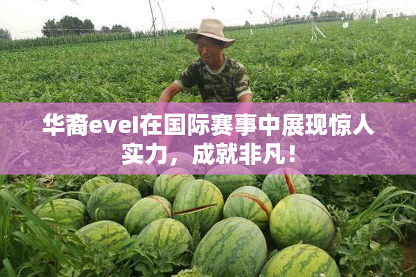 华裔eveI在国际赛事中展现惊人实力，成就非凡！