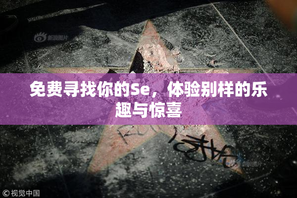 免费寻找你的Se，体验别样的乐趣与惊喜