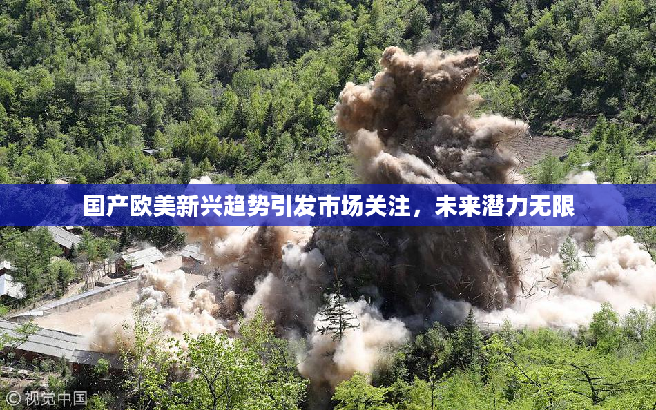 国产欧美新兴趋势引发市场关注，未来潜力无限