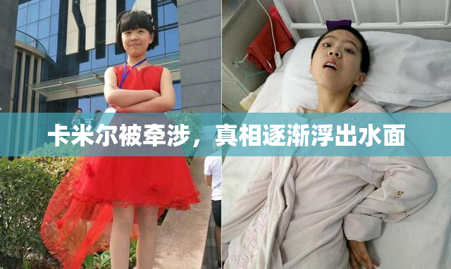 卡米尔被牵涉，真相逐渐浮出水面