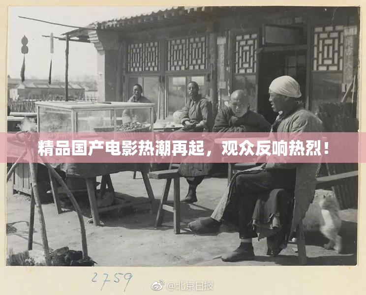 精品国产电影热潮再起，观众反响热烈！