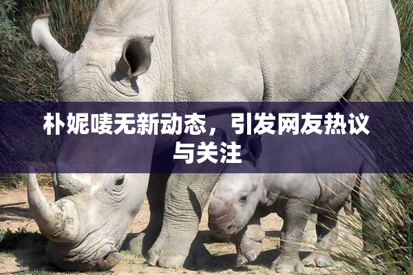 朴妮唛无新动态，引发网友热议与关注