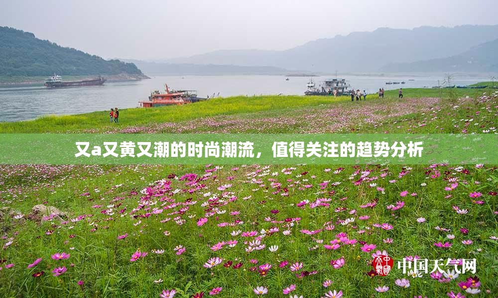 又a又黄又潮的时尚潮流，值得关注的趋势分析
