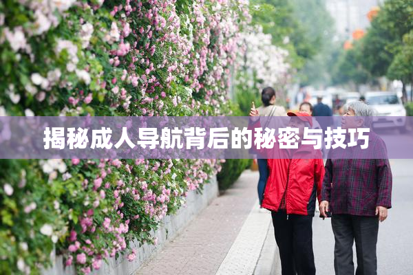 揭秘成人导航背后的秘密与技巧
