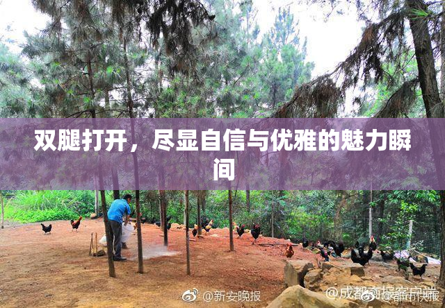 双腿打开，尽显自信与优雅的魅力瞬间