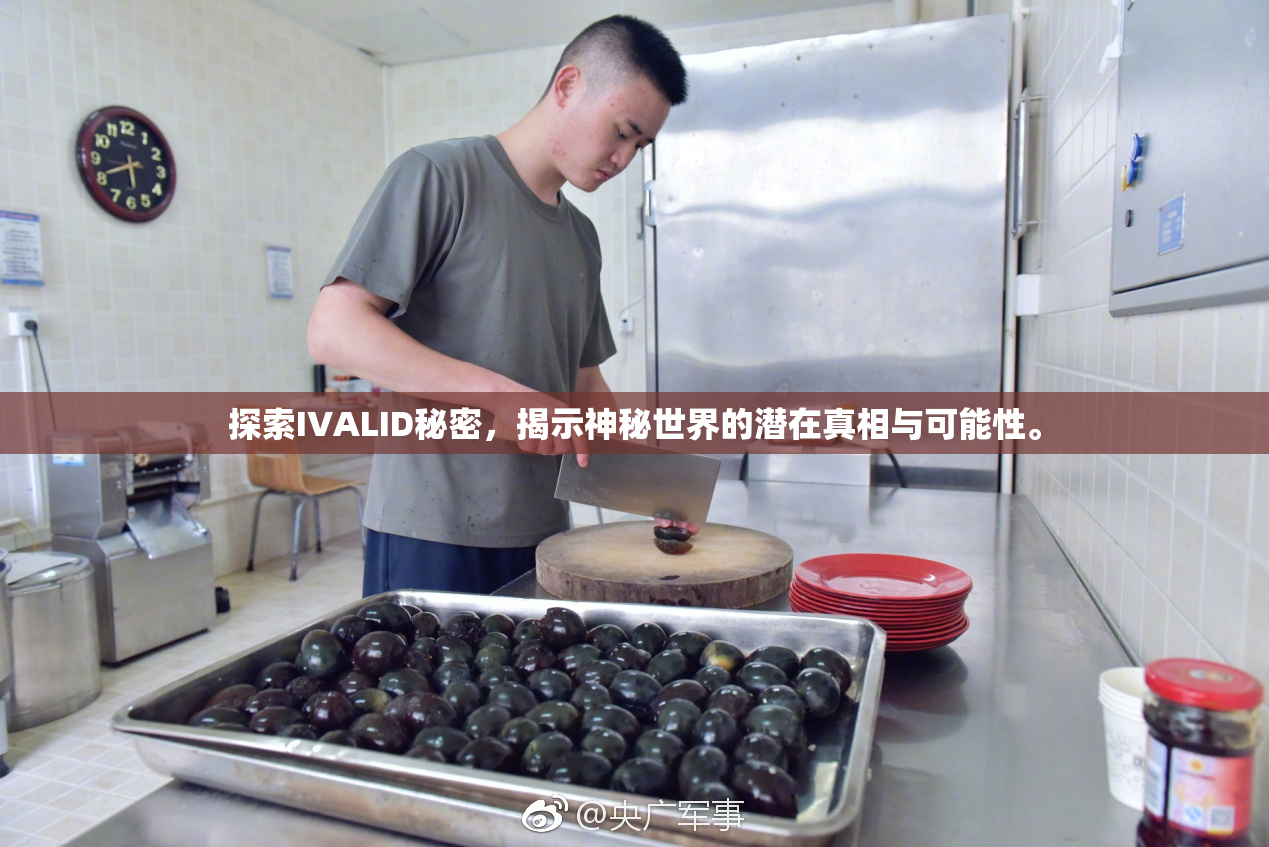 探索IVALID秘密，揭示神秘世界的潜在真相与可能性。