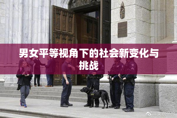 男女平等视角下的社会新变化与挑战