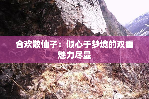 合欢散仙子：倾心于梦境的双重魅力尽显