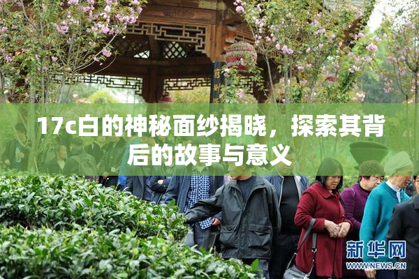 17c白的神秘面纱揭晓，探索其背后的故事与意义