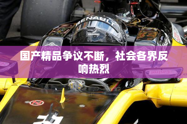 国产精品争议不断，社会各界反响热烈