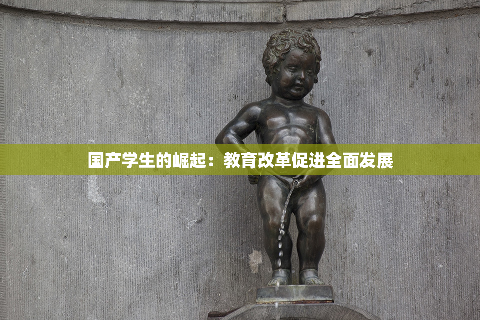 国产学生的崛起：教育改革促进全面发展