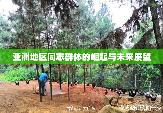 亚洲地区同志群体的崛起与未来展望
