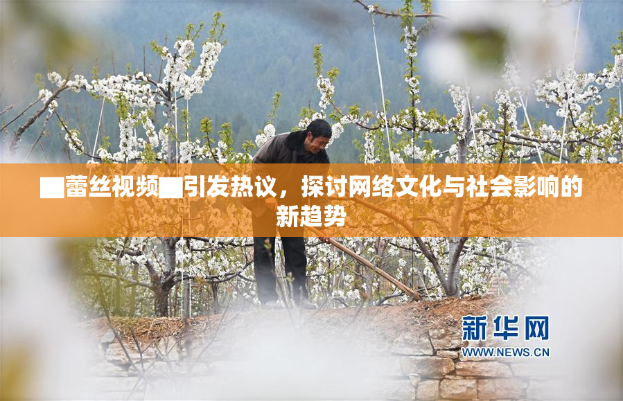 ▇蕾丝视频▇引发热议，探讨网络文化与社会影响的新趋势