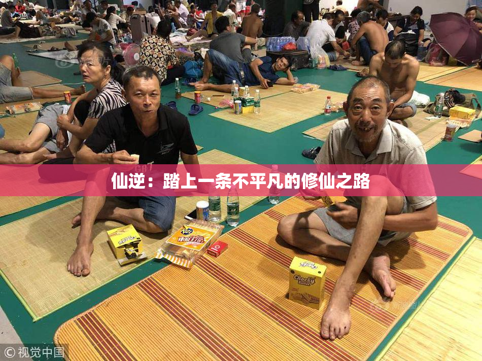 仙逆：踏上一条不平凡的修仙之路