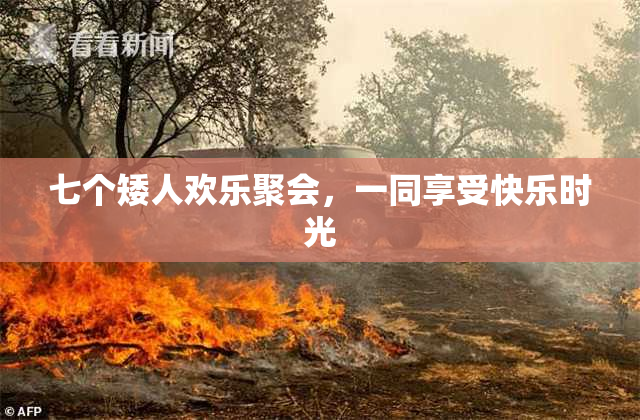 七个矮人欢乐聚会，一同享受快乐时光