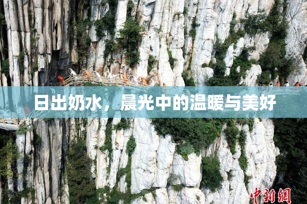 日出奶水，晨光中的温暖与美好