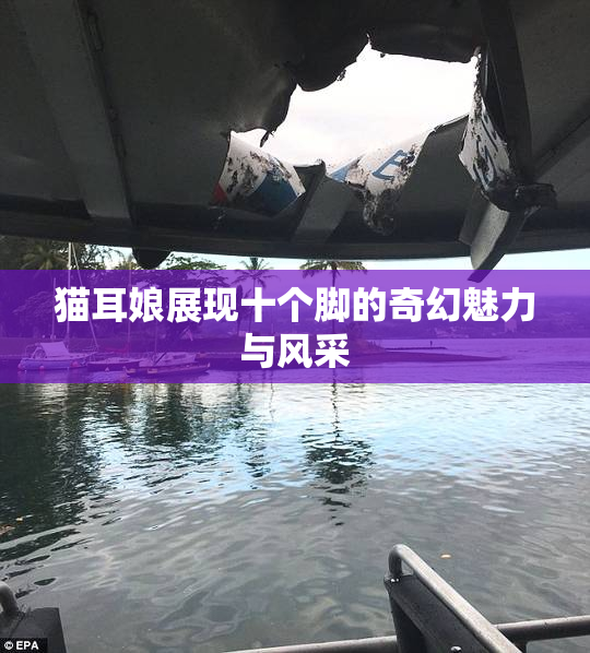 猫耳娘展现十个脚的奇幻魅力与风采