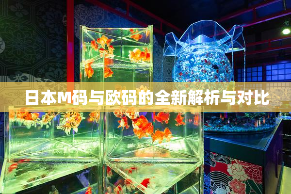 日本M码与欧码的全新解析与对比