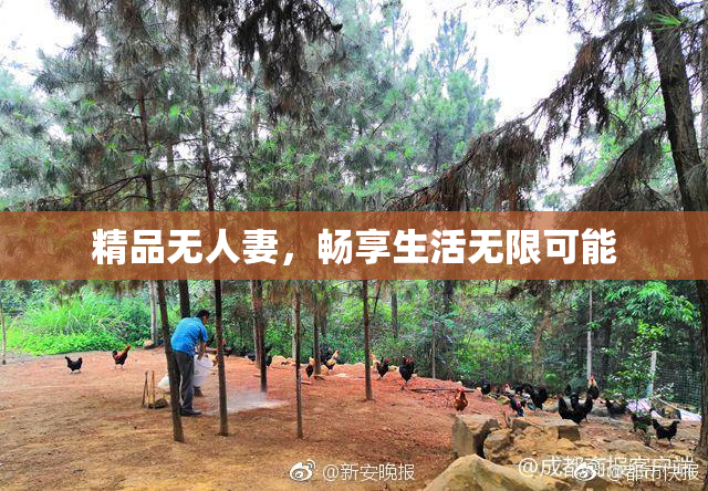 精品无人妻，畅享生活无限可能