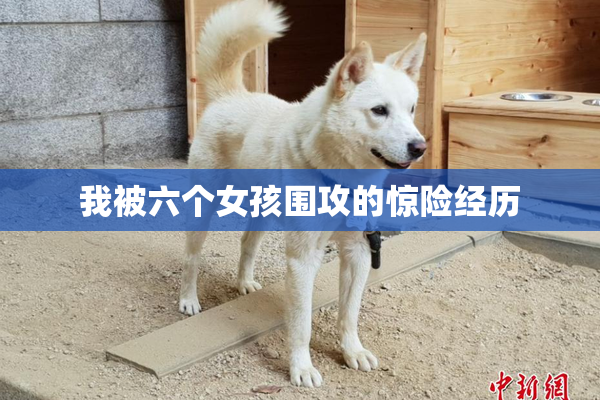 我被六个女孩围攻的惊险经历