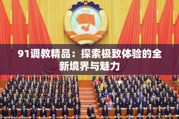 91调教精品：探索极致体验的全新境界与魅力