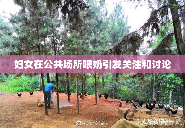 妇女在公共场所喂奶引发关注和讨论