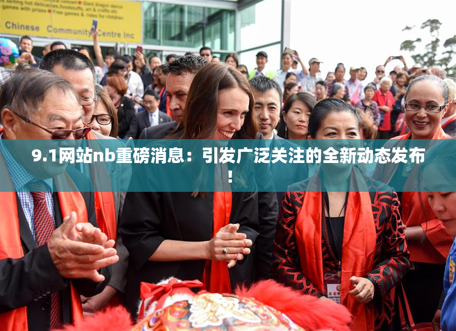 9.1网站nb重磅消息：引发广泛关注的全新动态发布！