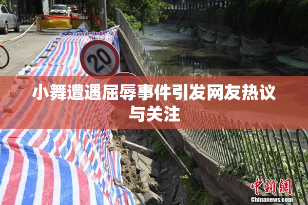 小舞遭遇屈辱事件引发网友热议与关注