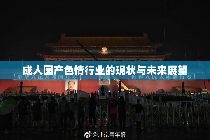 成人国产色情行业的现状与未来展望