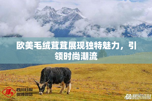 欧美毛绒茸茸展现独特魅力，引领时尚潮流