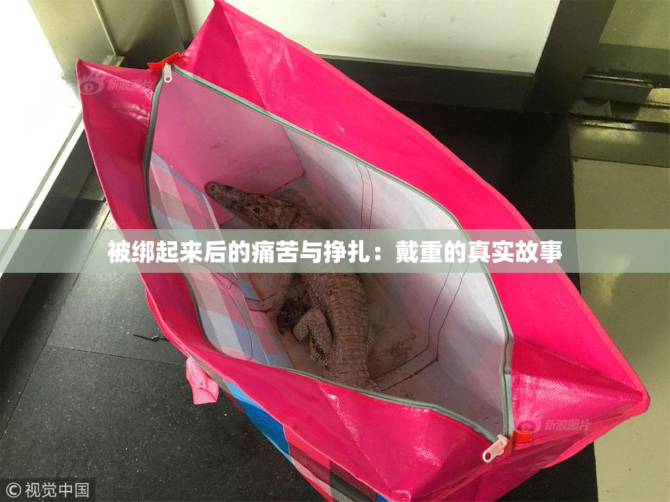 被绑起来后的痛苦与挣扎：戴重的真实故事