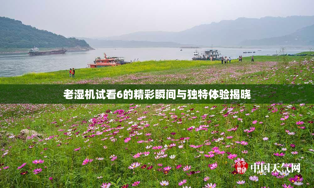 老湿机试看6的精彩瞬间与独特体验揭晓