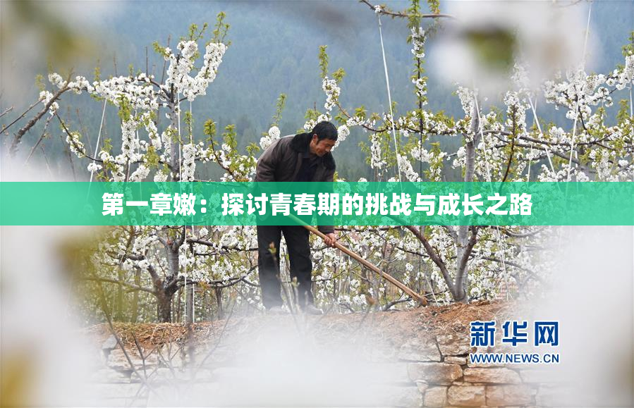 第一章嫩：探讨青春期的挑战与成长之路