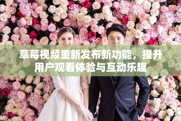 草莓视频重新发布新功能，提升用户观看体验与互动乐趣