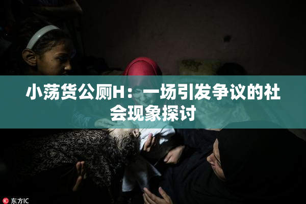 小荡货公厕H：一场引发争议的社会现象探讨