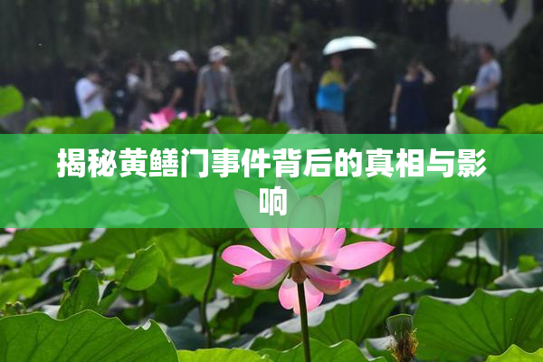 揭秘黄鳝门事件背后的真相与影响