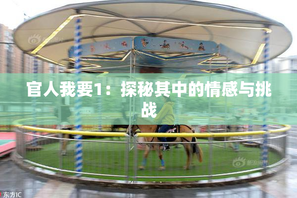 官人我要1：探秘其中的情感与挑战
