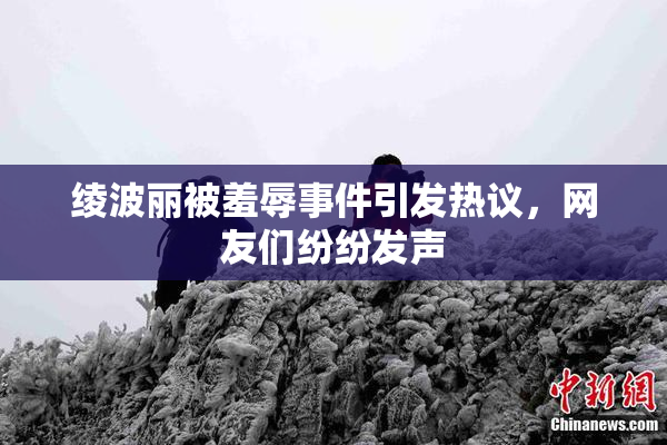 绫波丽被羞辱事件引发热议，网友们纷纷发声