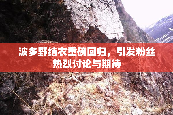 波多野结衣重磅回归，引发粉丝热烈讨论与期待