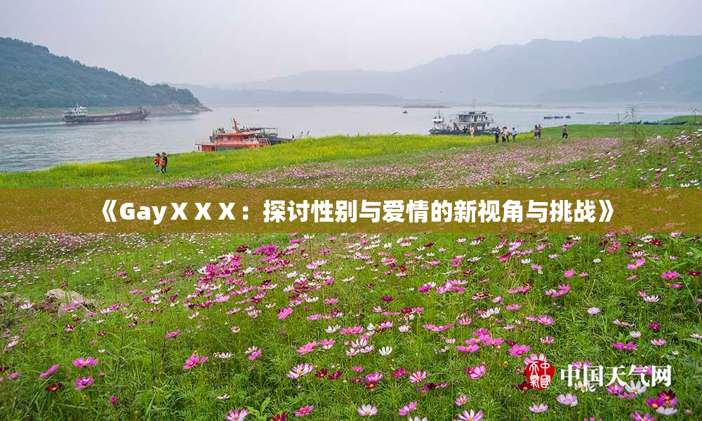 《GayⅩⅩⅩ：探讨性别与爱情的新视角与挑战》