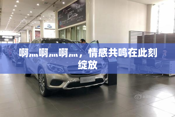 啊灬啊灬啊灬，情感共鸣在此刻绽放