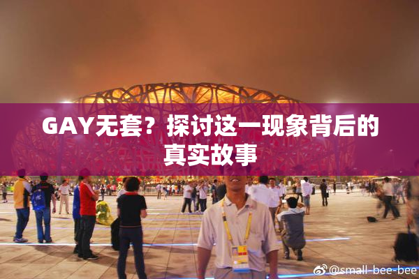 GAY无套？探讨这一现象背后的真实故事